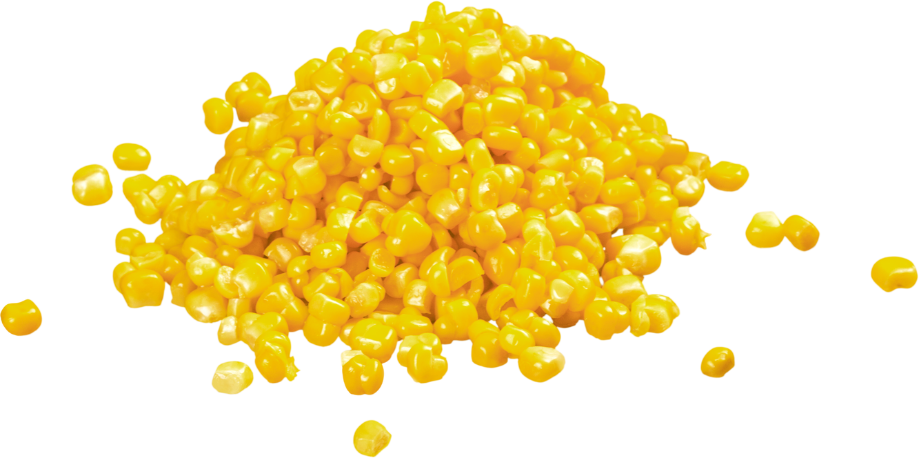 Corn Kernels 